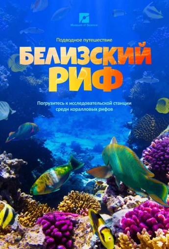 Виртуальная энциклопедия Виртуальная энциклопедия.